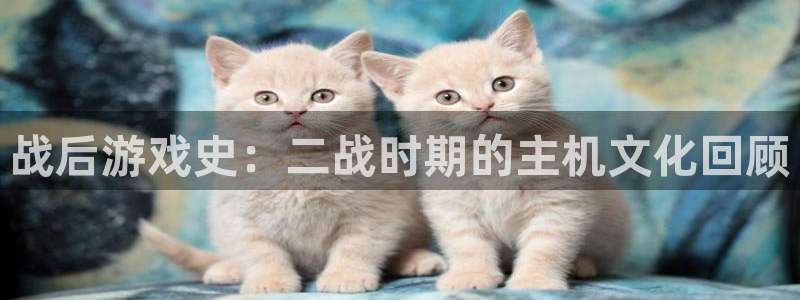 新宝GG服装：战后游戏史：二战时期的主机文化回顾