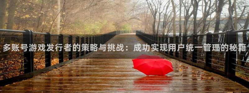 新宝GG官网是什么娱乐?：多账号游戏发行者的策略与挑战：成功实现用户统一管理的秘籍