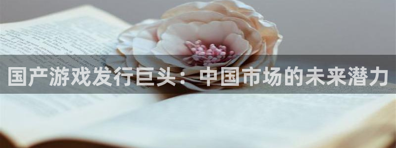新宝GG官网官网注册账号是什么：国产游戏发行巨头：中国市场的未来潜力