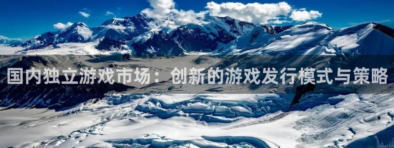 新宝GG子最好看的小说：国内独立游戏市场：创新的游戏发行模式与策略