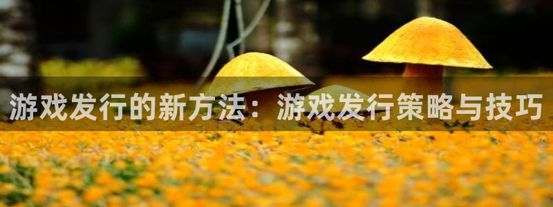 新宝GG实业投资(东莞)有限公司：游戏发行的新方法：游戏发行策略与技巧