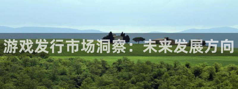 新宝GG官网平台怎么样可靠吗：游戏发行市场洞察：未来发展方向