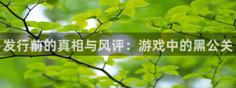 新宝GG技术有限公司