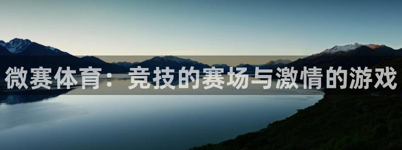 新宝GG是什么品牌