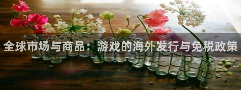 新宝GG官网客服招聘：全球市场与商品：游戏的海外发行与免税政策