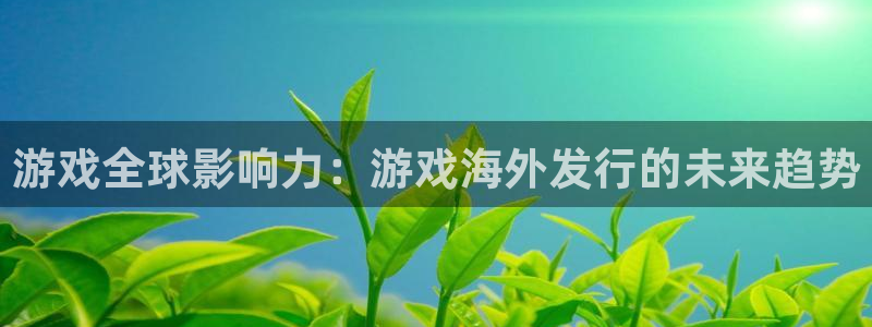 新宝GG子小说