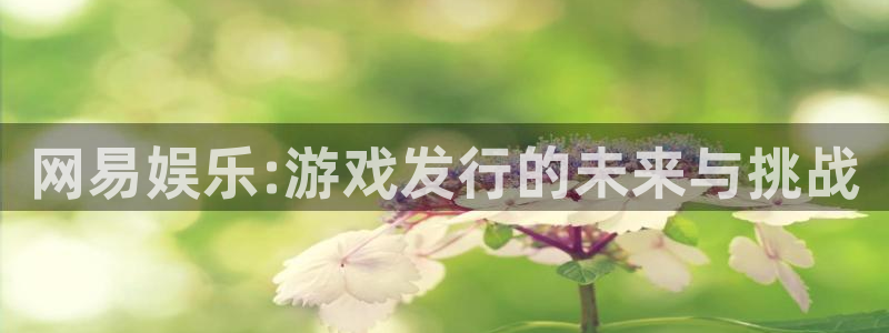 新宝GG官网登录注册账号：网易娱乐:游戏发行的未来与挑战