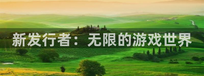 新宝GG官网注册平台怎么注册：新发行者：无限的游戏世界