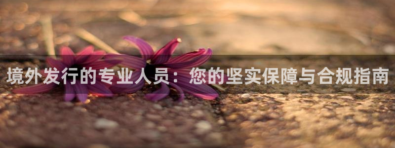 新宝GG官网客服怎么样：境外发行的专业人员：您的坚实保障与合规指南