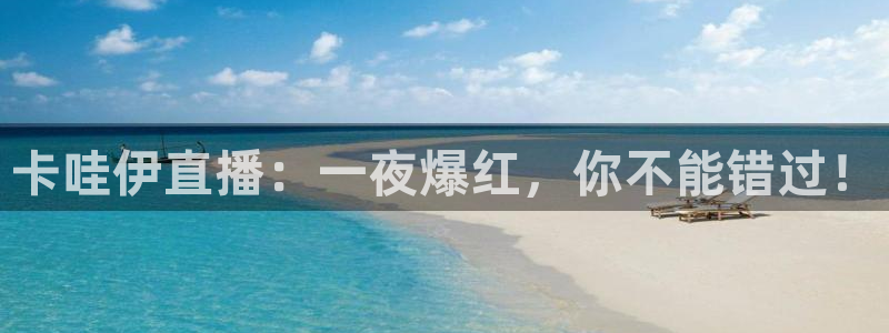 龙门免费直播：卡哇伊直播：一夜爆红，你不能错过！