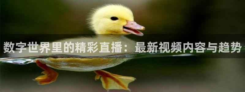 龙门直播间：数字世界里的精彩直播：最新视频内容与趋势