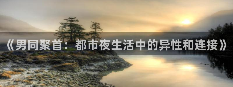 龙门直播在线直播：《男同聚首：都市夜生活中的异性和连接》