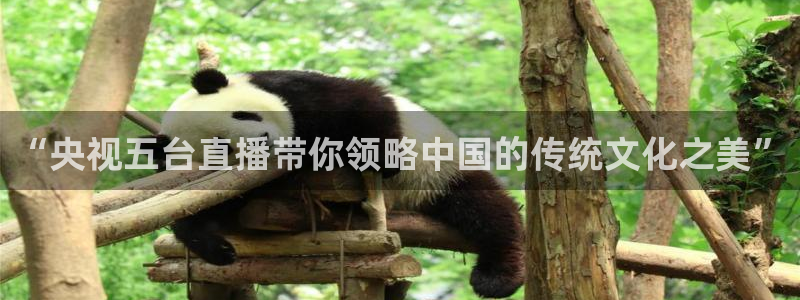 龙门直播nba免费直播入口：“央视五台直播带你领略中国的传统文化之美”