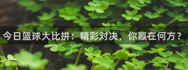 龙门镖局1.5在线观看免费完整版：今日篮球大比拼：精彩对决，你赢在何方？