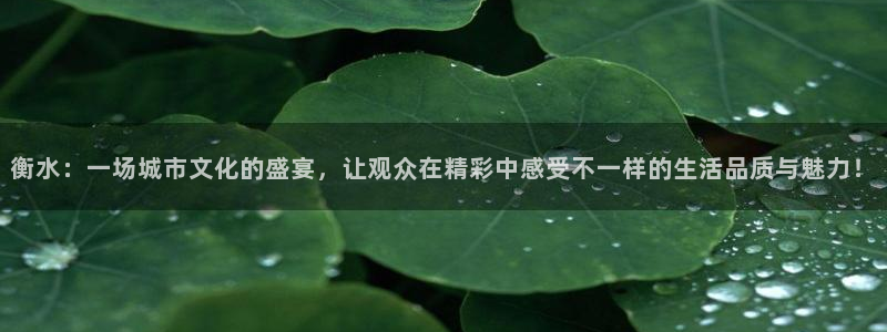 下载龙门直播：衡水：一场城市文化的盛宴，让观众在精彩中感受不一样的生活品质与魅力！